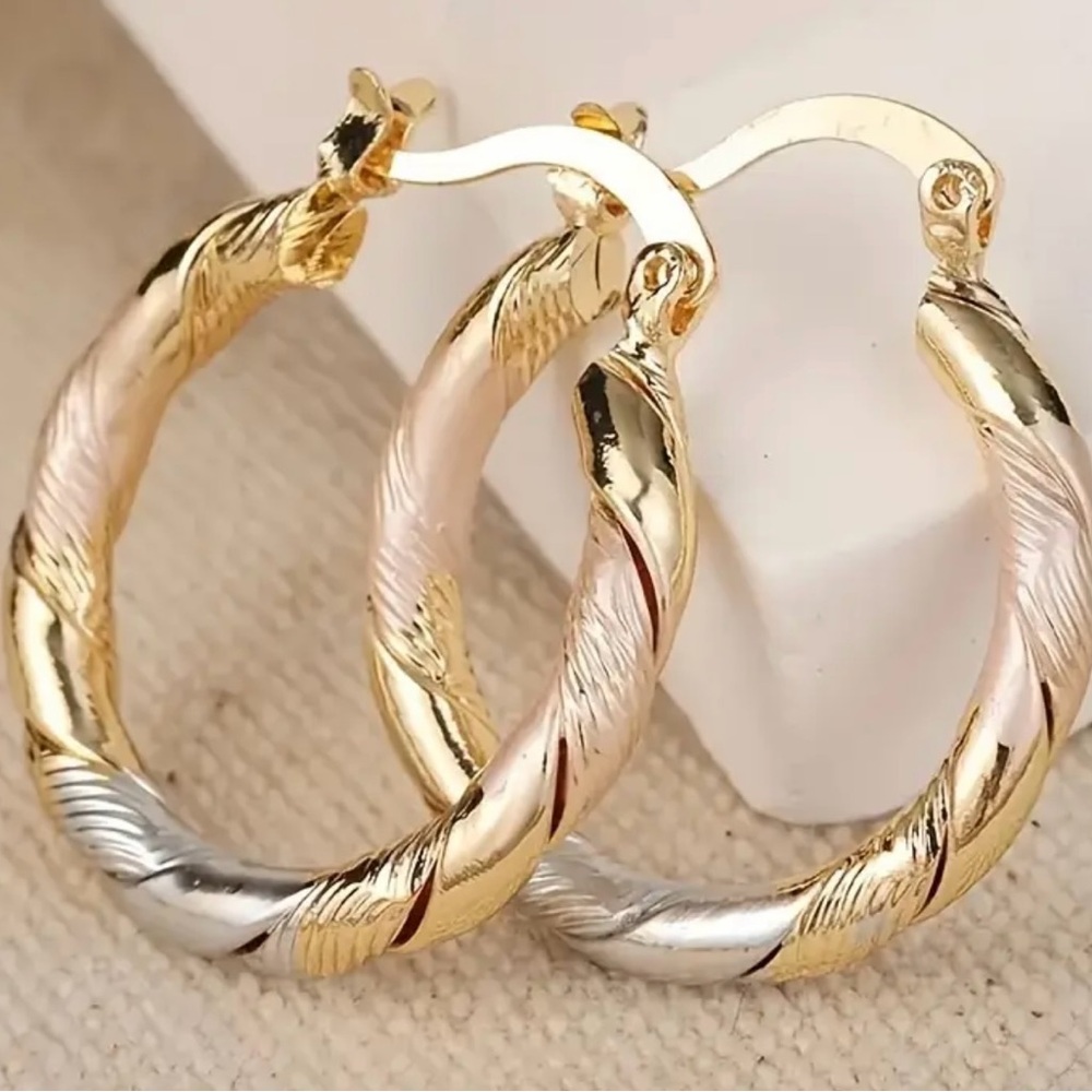 Elegant Gold and Silver Hoop Earrings